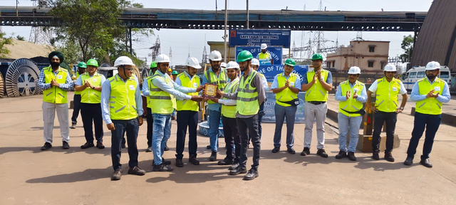 Project Supervisors
